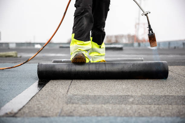 Best Asphalt Shingles Roofing  in Royalton, MN