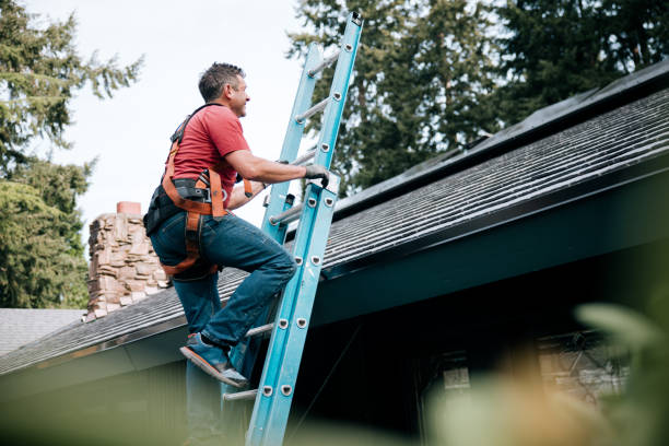 Roof Coating Services in Royalton, MN